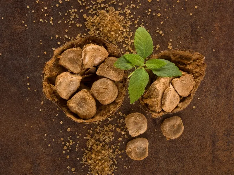 Monk Fruit Sweetener